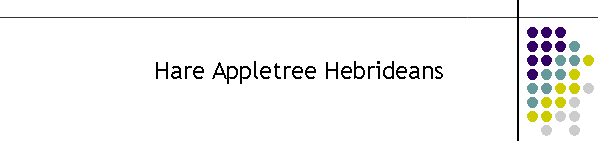 Hare Appletree Hebrideans